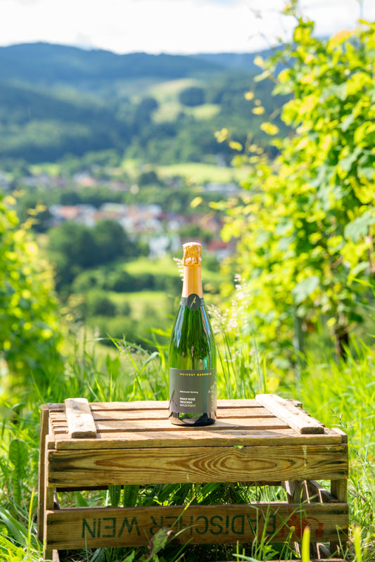 Pinot Rosé trocken Winzersekt