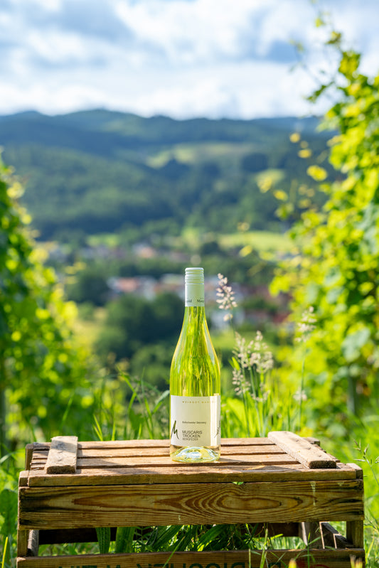 Muscaris Bergfeder trocken