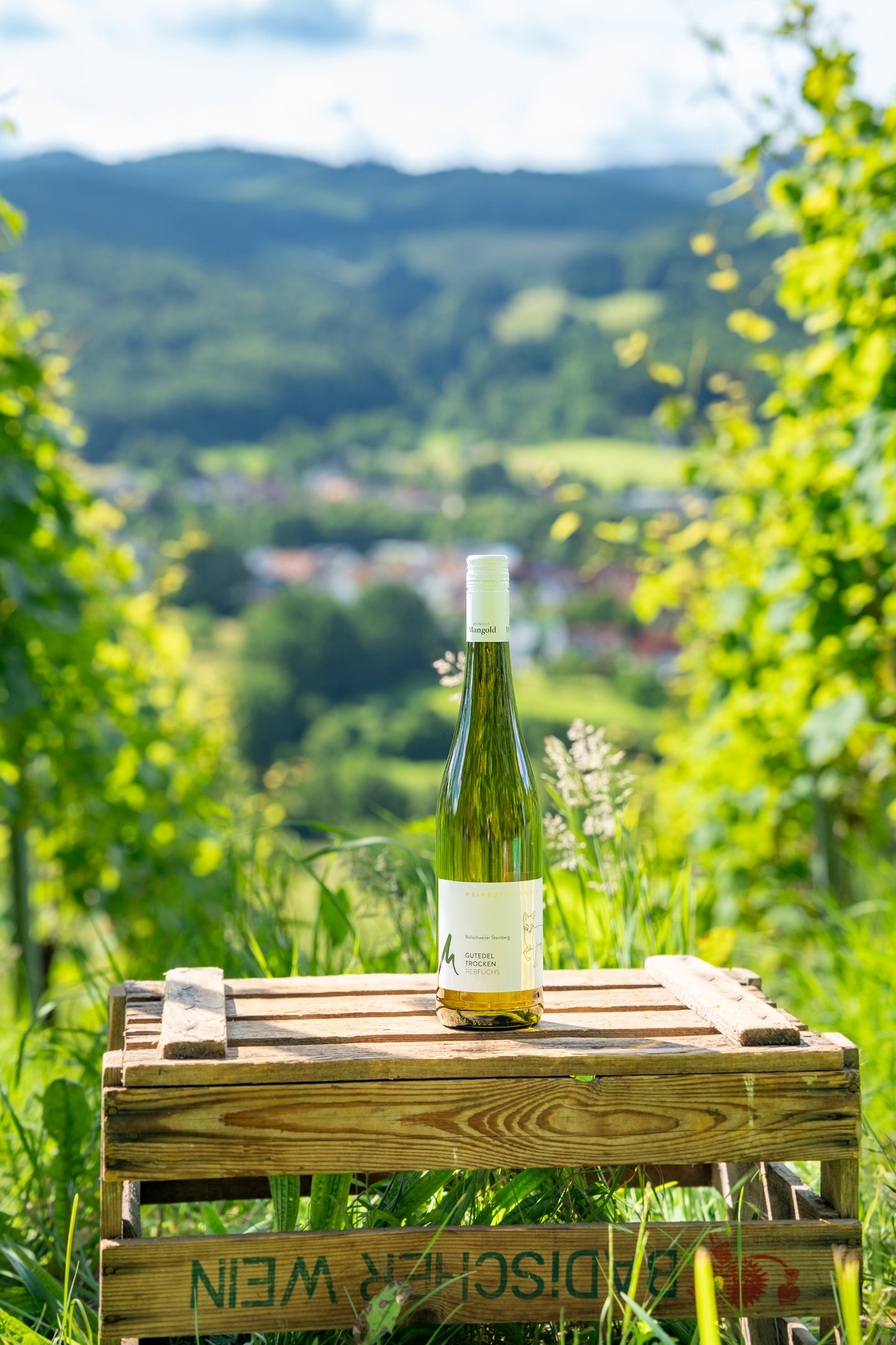 Gutedel Rebfuchs trocken