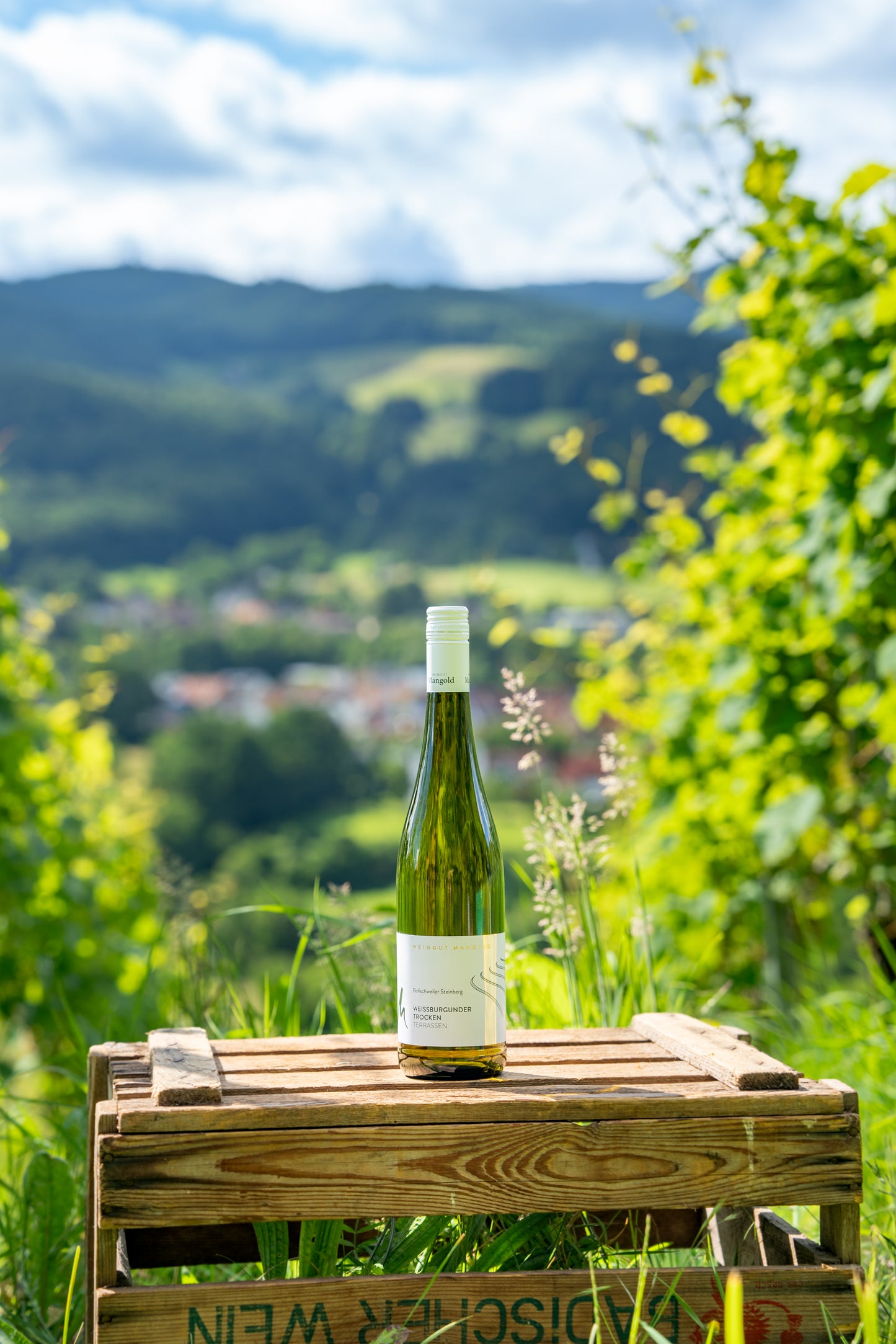 Weissburgunder Terrassen trocken