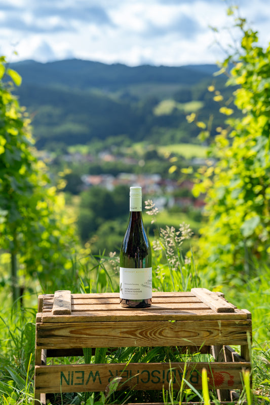Spätburgunder Rotwein Pfaffenhalde feinherb