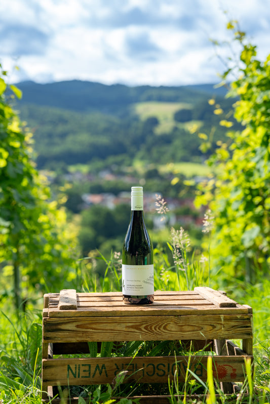 Spätburgunder Rotwein Pfaffenhalde trocken