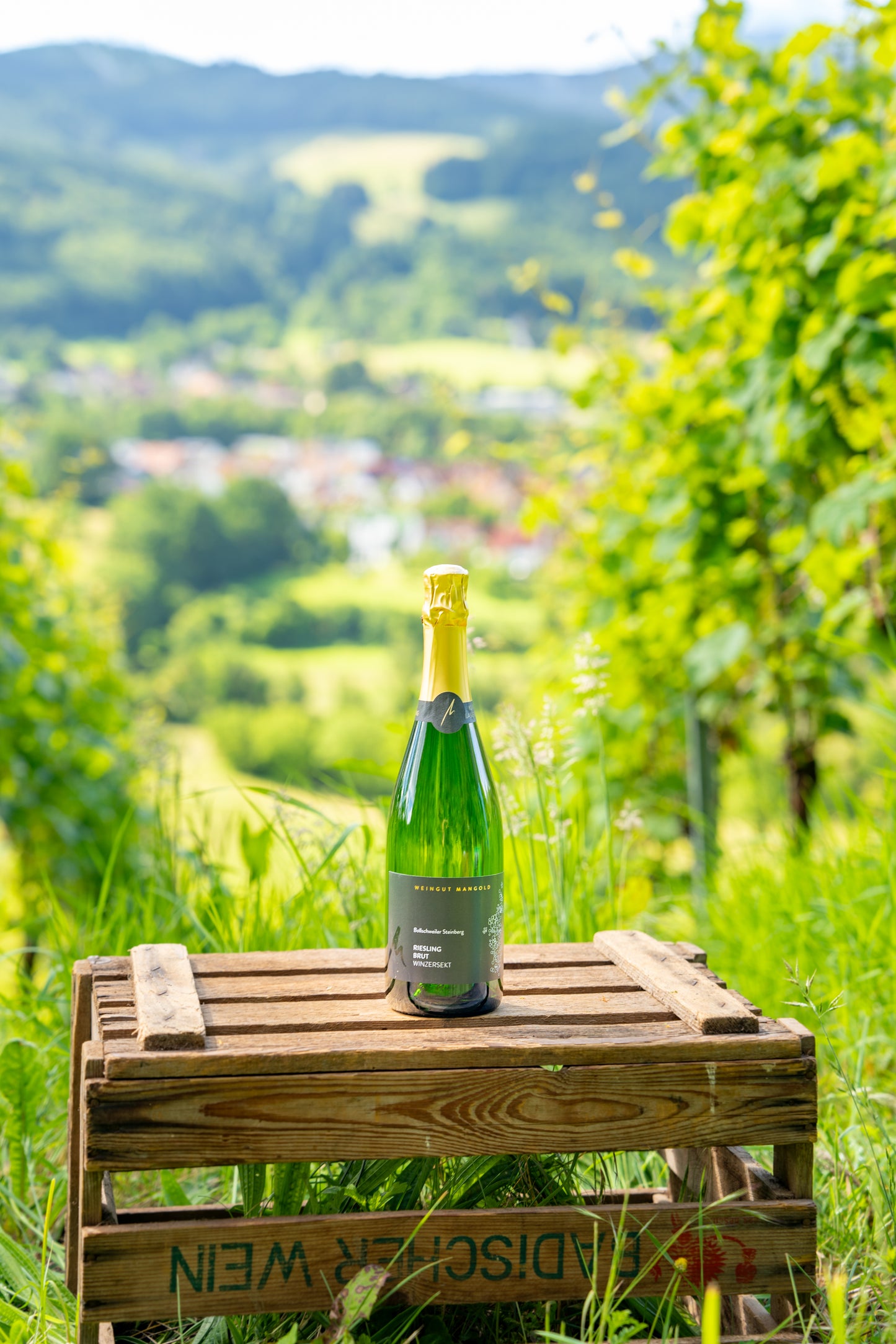 Riesling brut Winzersekt